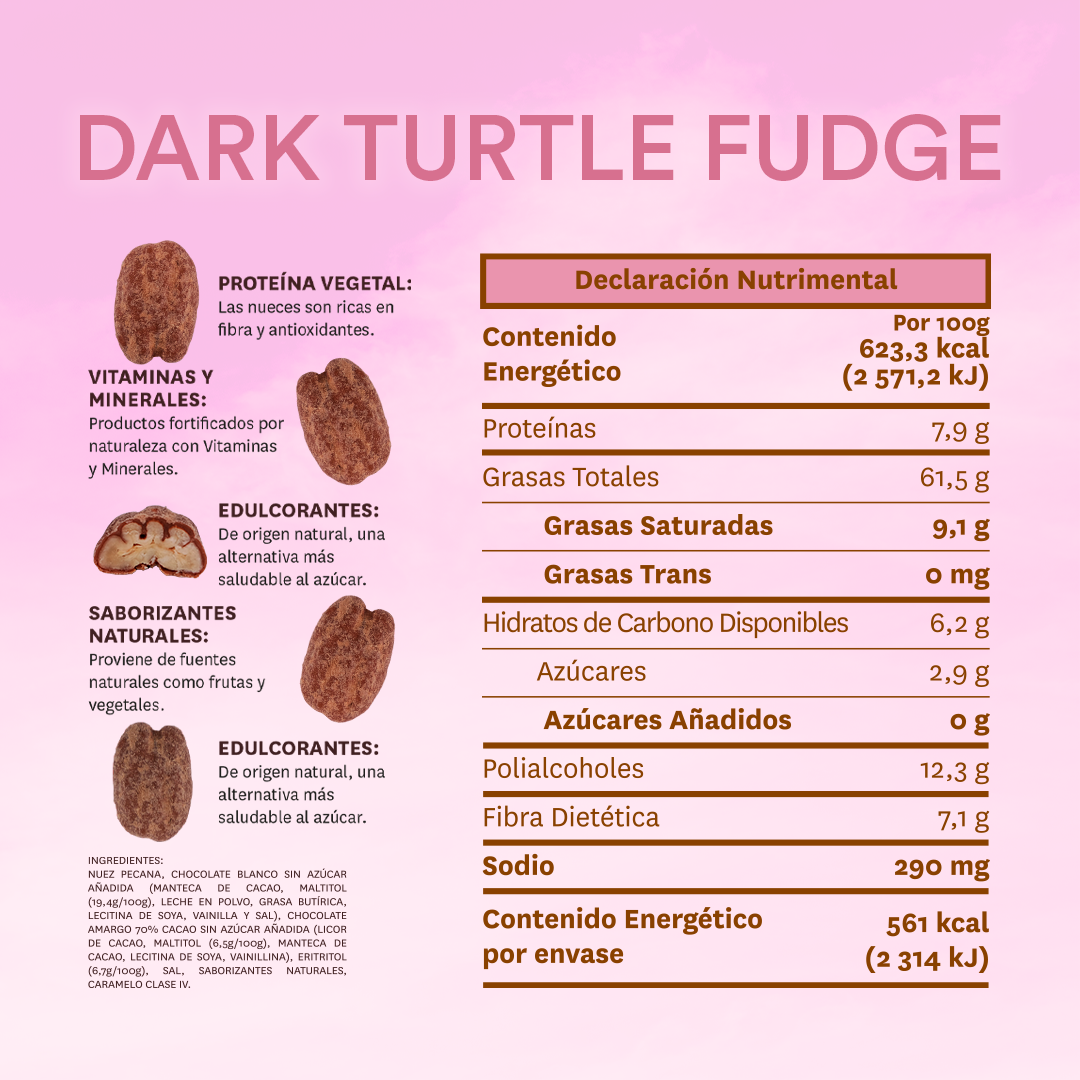 Mega Box Dark Turtle Fudge (25pz)